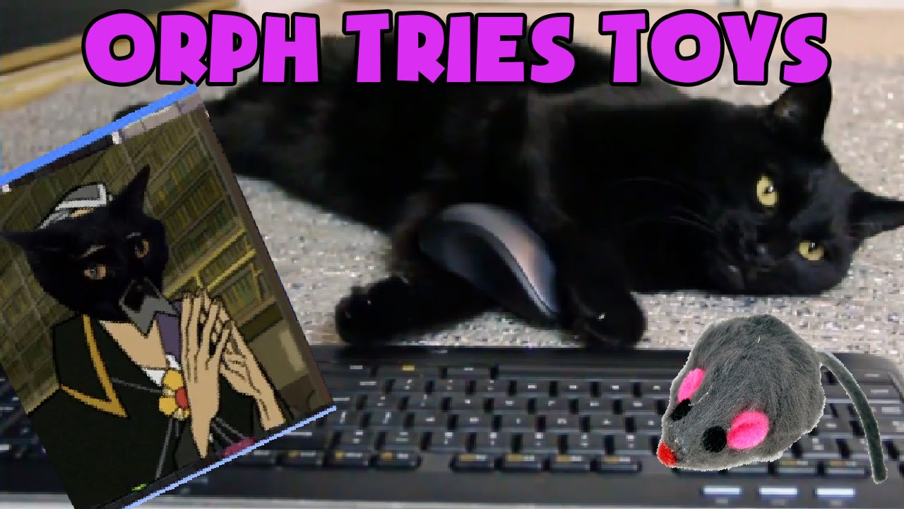 Orph Tries a Cat Toy from Japan!