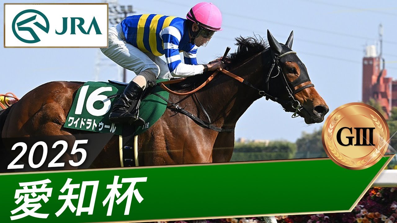 2025年 愛知杯（GⅢ） | ワイドラトゥール | JRA公式