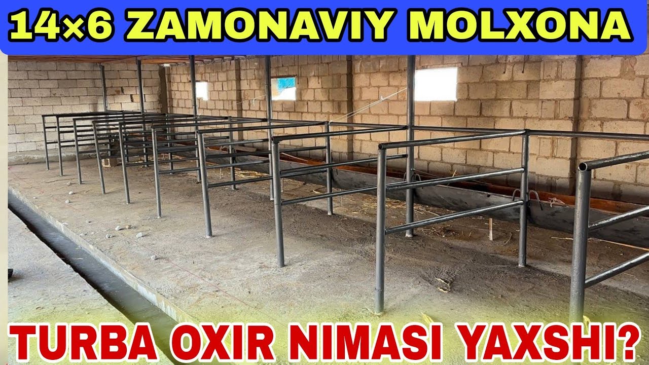 ZAMONAVIY MOLXONA TURBA OXIRLAR QULAYLIGI