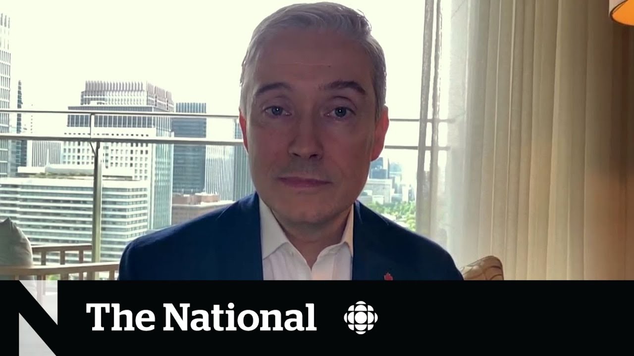 Should the government diversify Canada's telecom market?