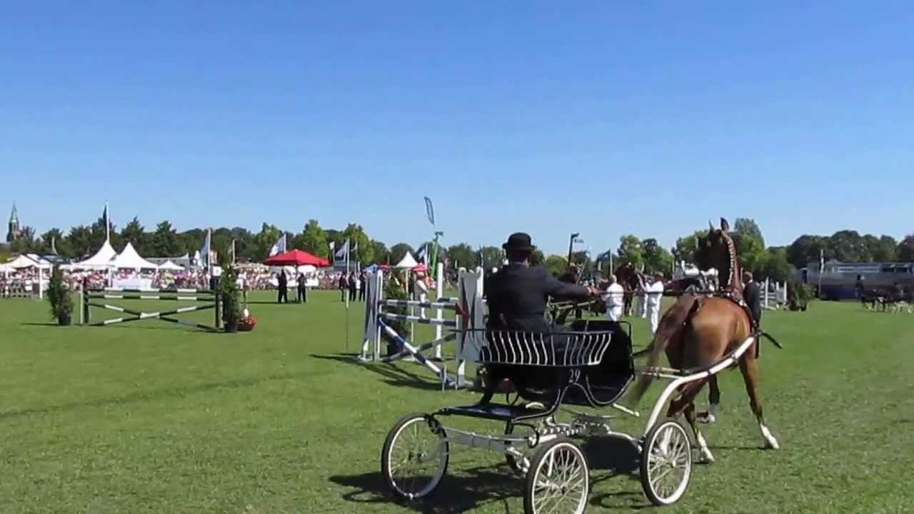 Opmeer 2013 Ereklasse Tuigpaarden