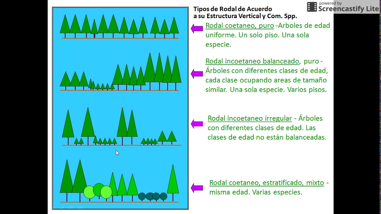Conceptos básicos de silvicultura: Parte I