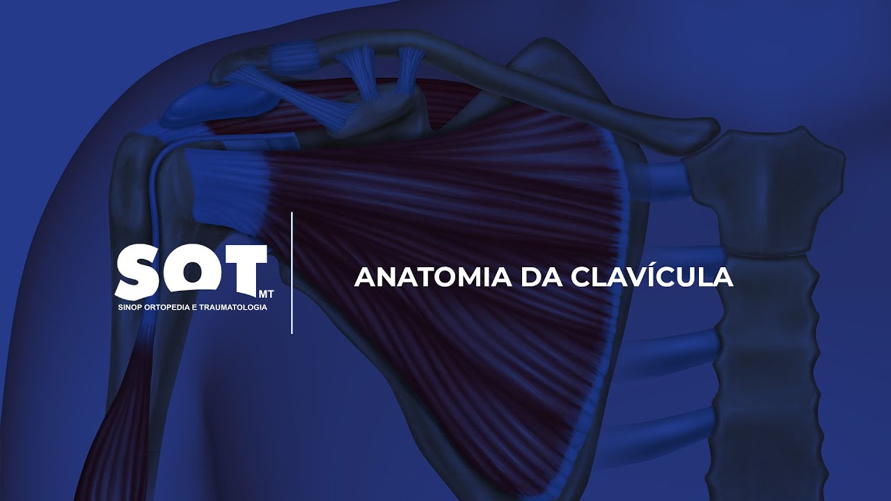 Dr. Zanella - Anatomia da Clav&iacute;cula