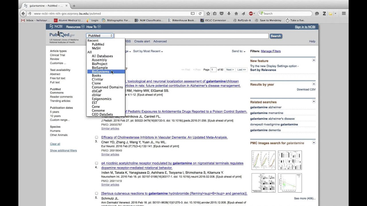 Searching for In Vivo and In Vitro Studies in PubMed