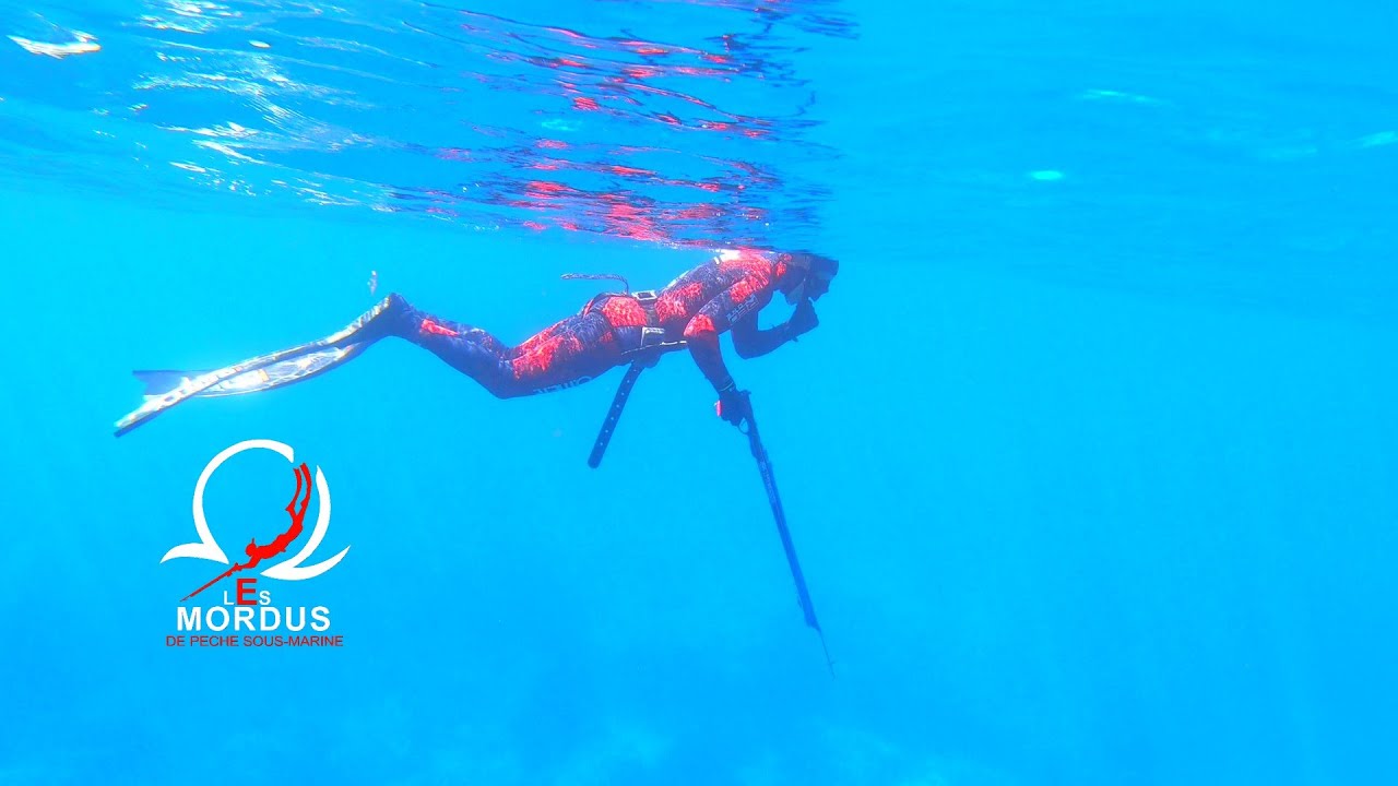 Pêche sous-marine avec Lilian et Baptiste les 8 et 10 Juillet, Bandol et Cassis, Spearfishing Pesca