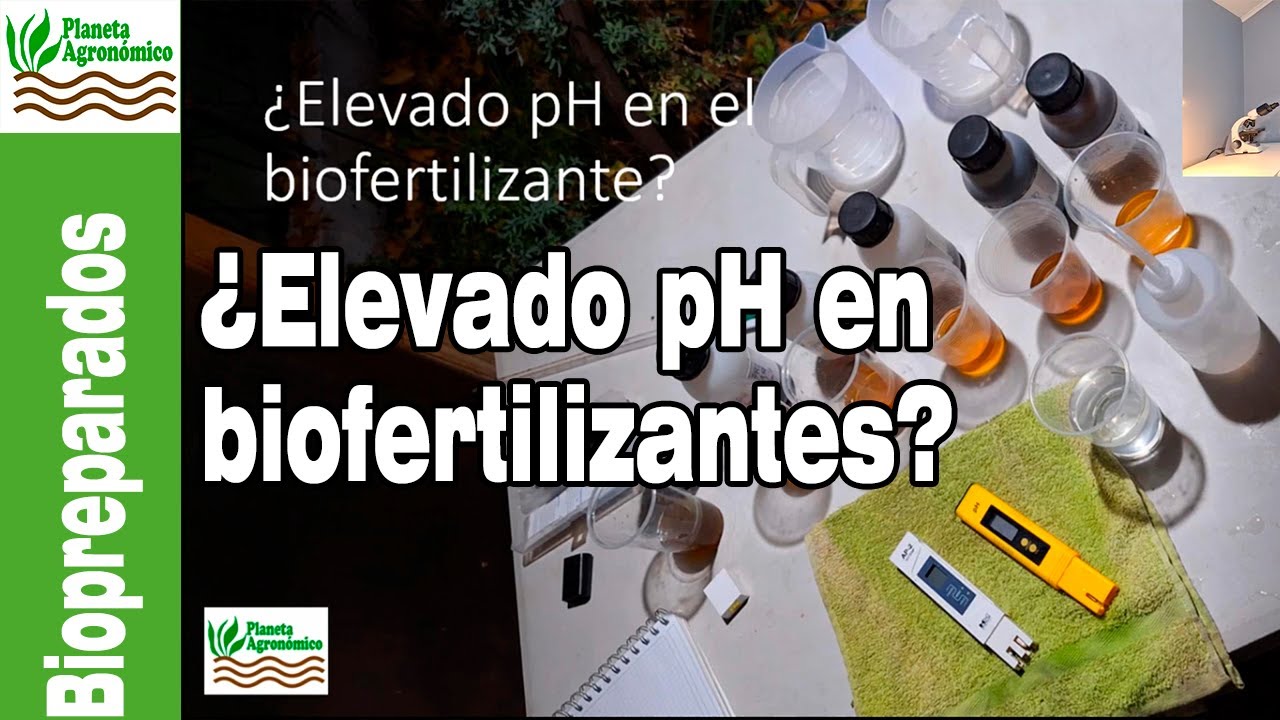 Un PH ELEVADO EN UN BIO FERTILIZANTE &iquest;Es bueno o malo 🤔