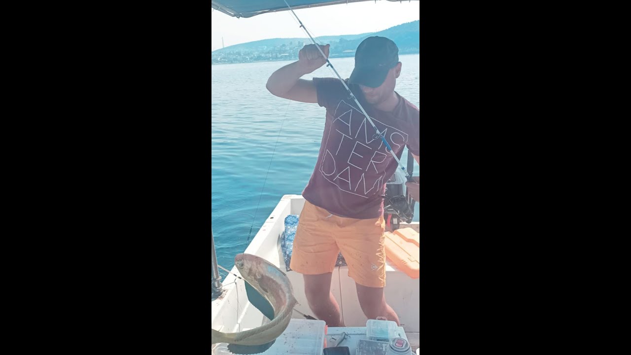 Lambuka'yı nasıl kandırdım? Fo&ccedil;a Lambuka Avı #shorts