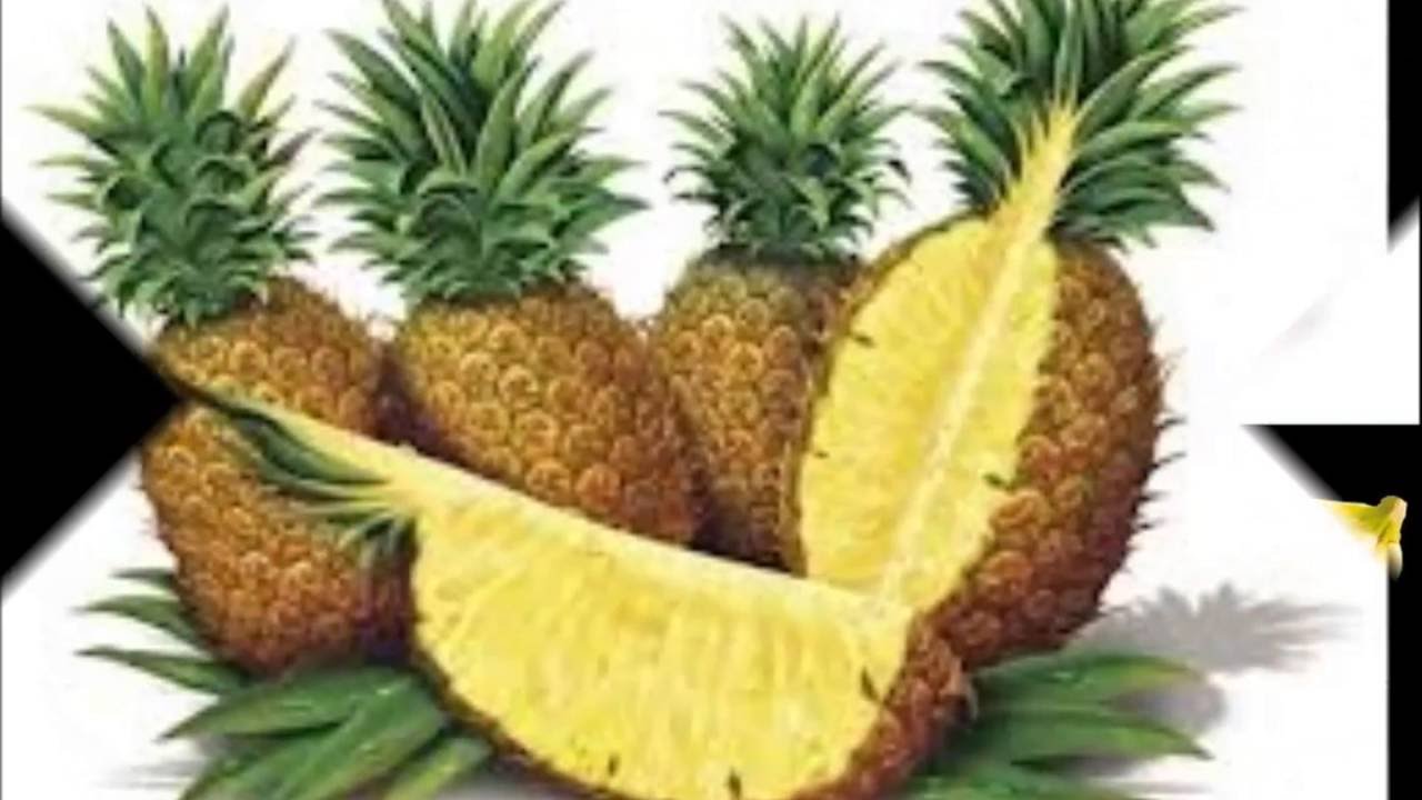 فعاليات وحدة الغذاء الروضة الخامسة بعرعر 1435هـ