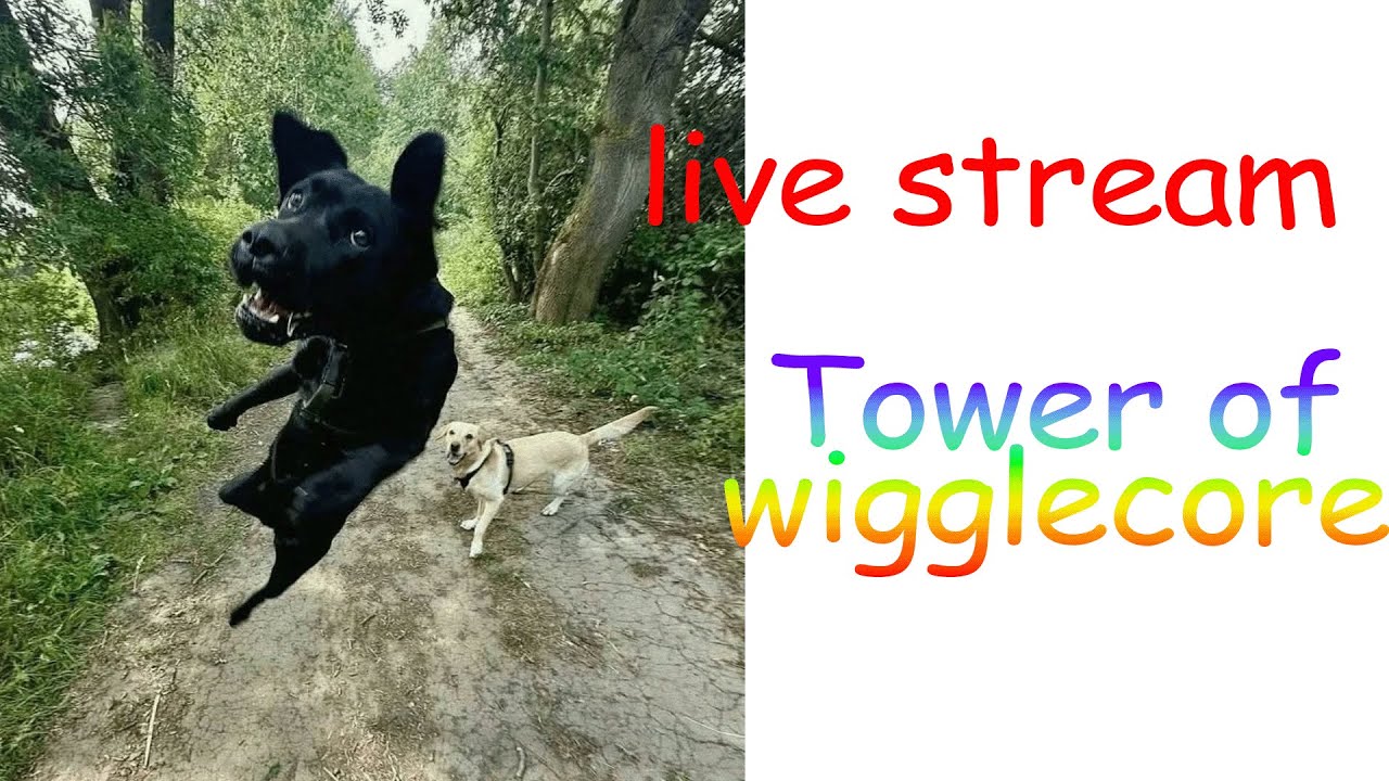 [LEARNING] Tower of Wigglecore PB: 2 //  Stream #1