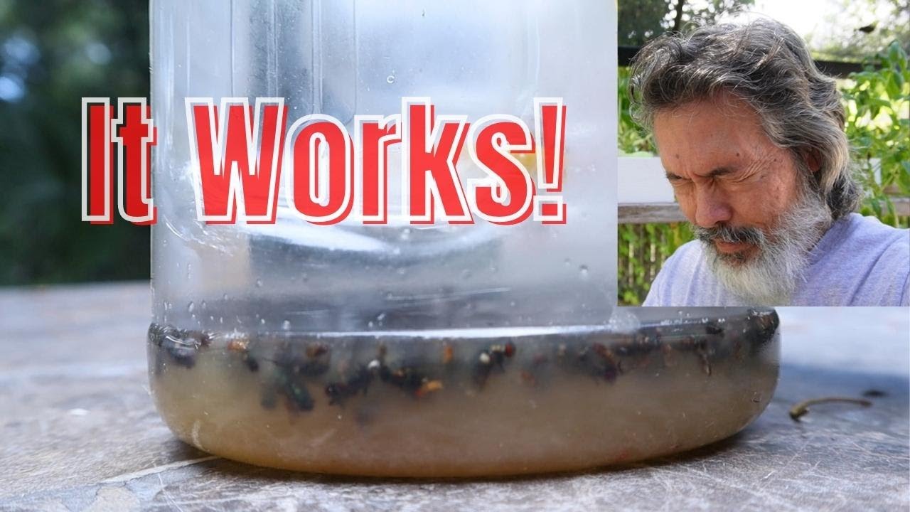 The Best Ever FREE Fly Trap for Summer Gardens and Picnics