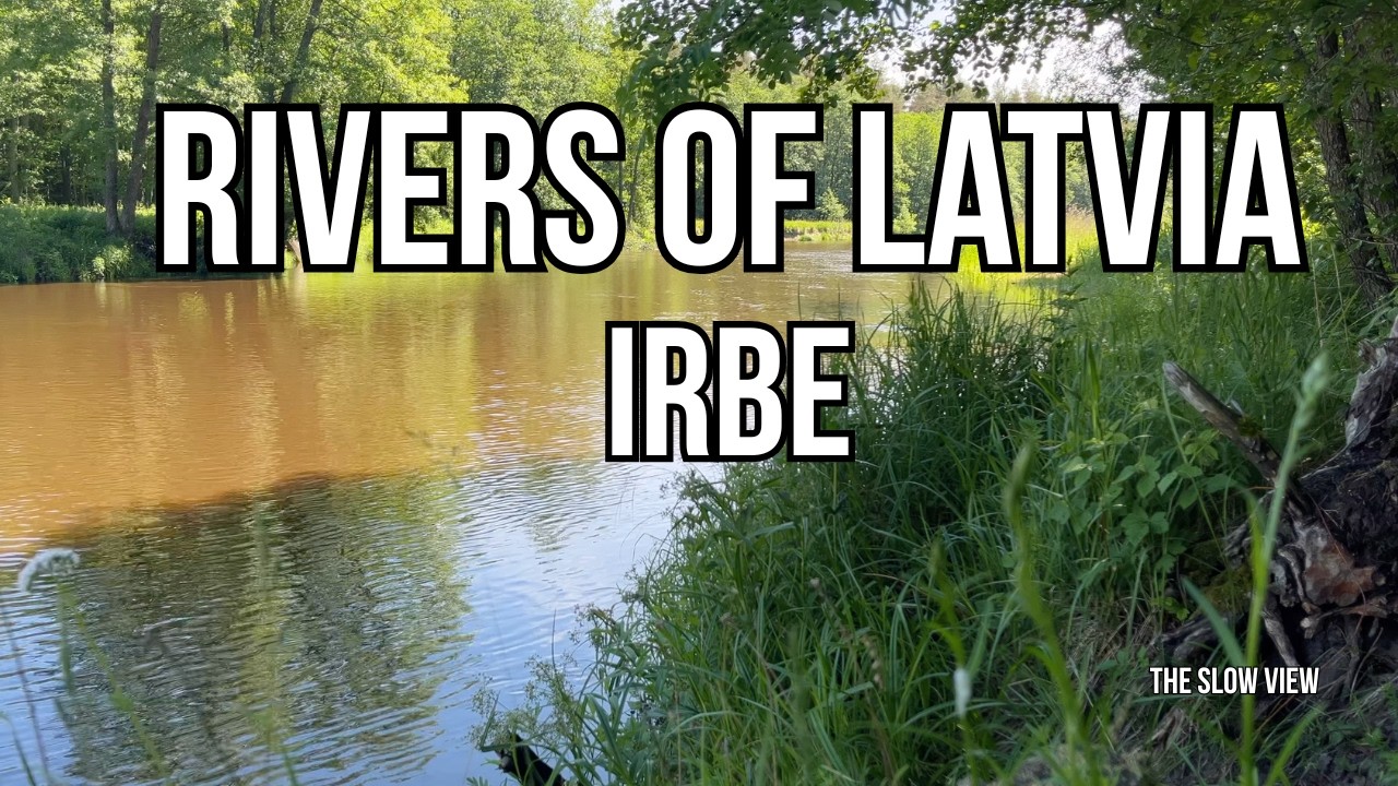 LATVIA RIVER SOUNDS &mdash; Irbe in the Summer [No Loop] 1H | Focus