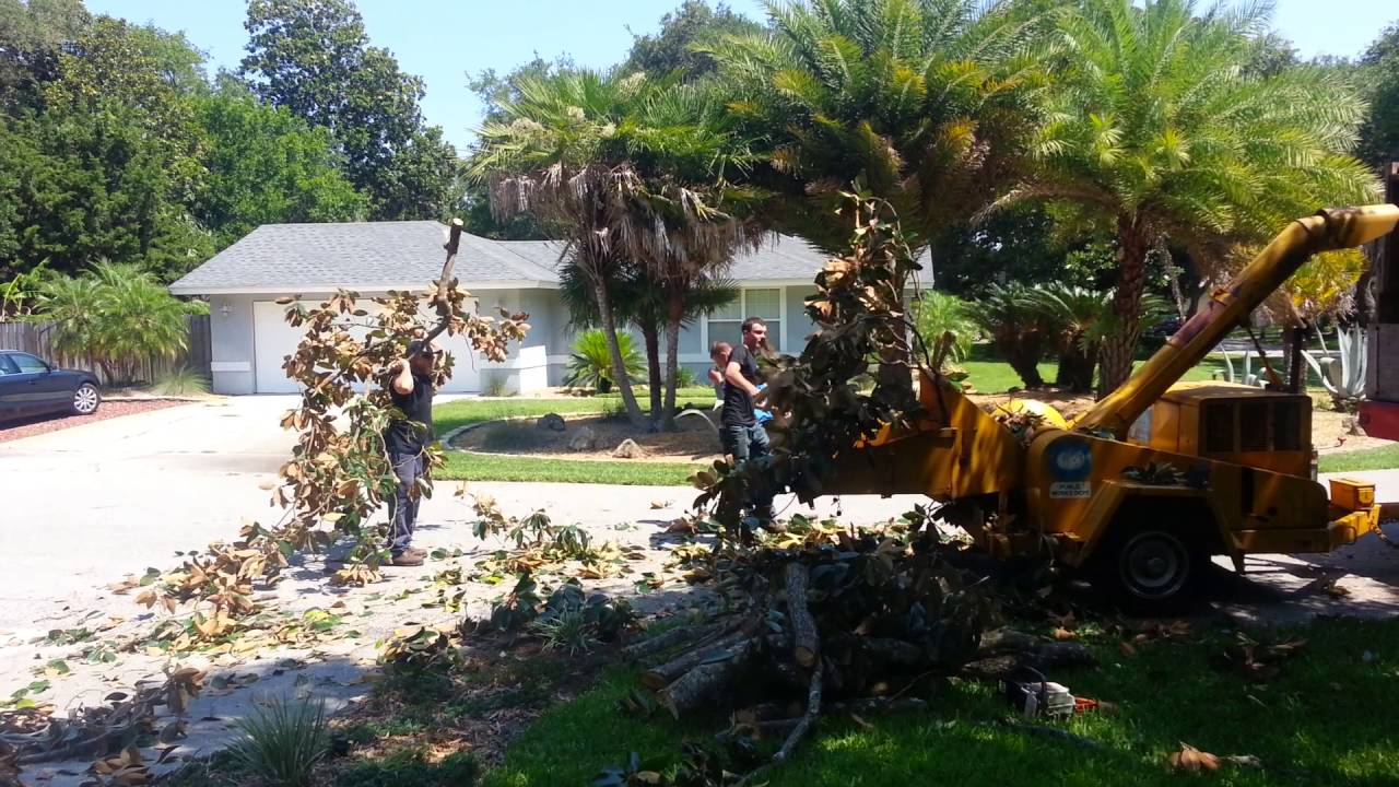 1974 Wayne wood chipper  by Elvis tree climber extraordinaire
