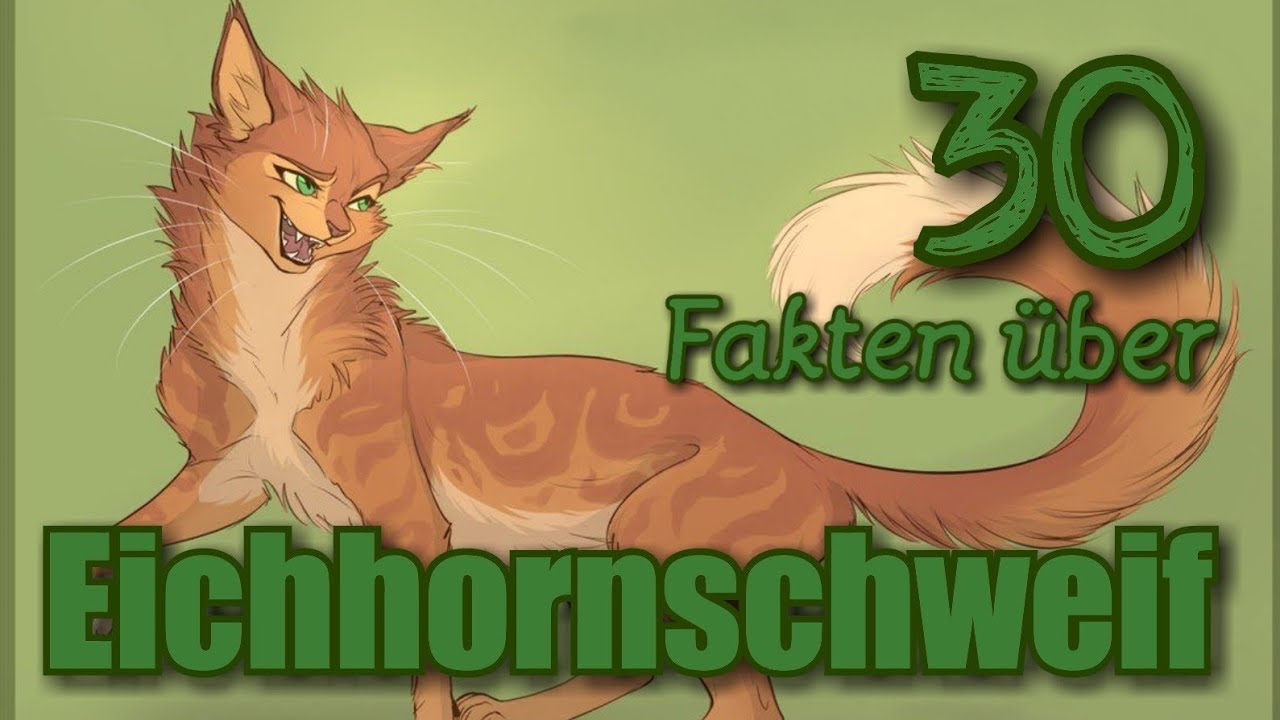 Warrior Cats - 30 Fakten über Eichhornschweif
