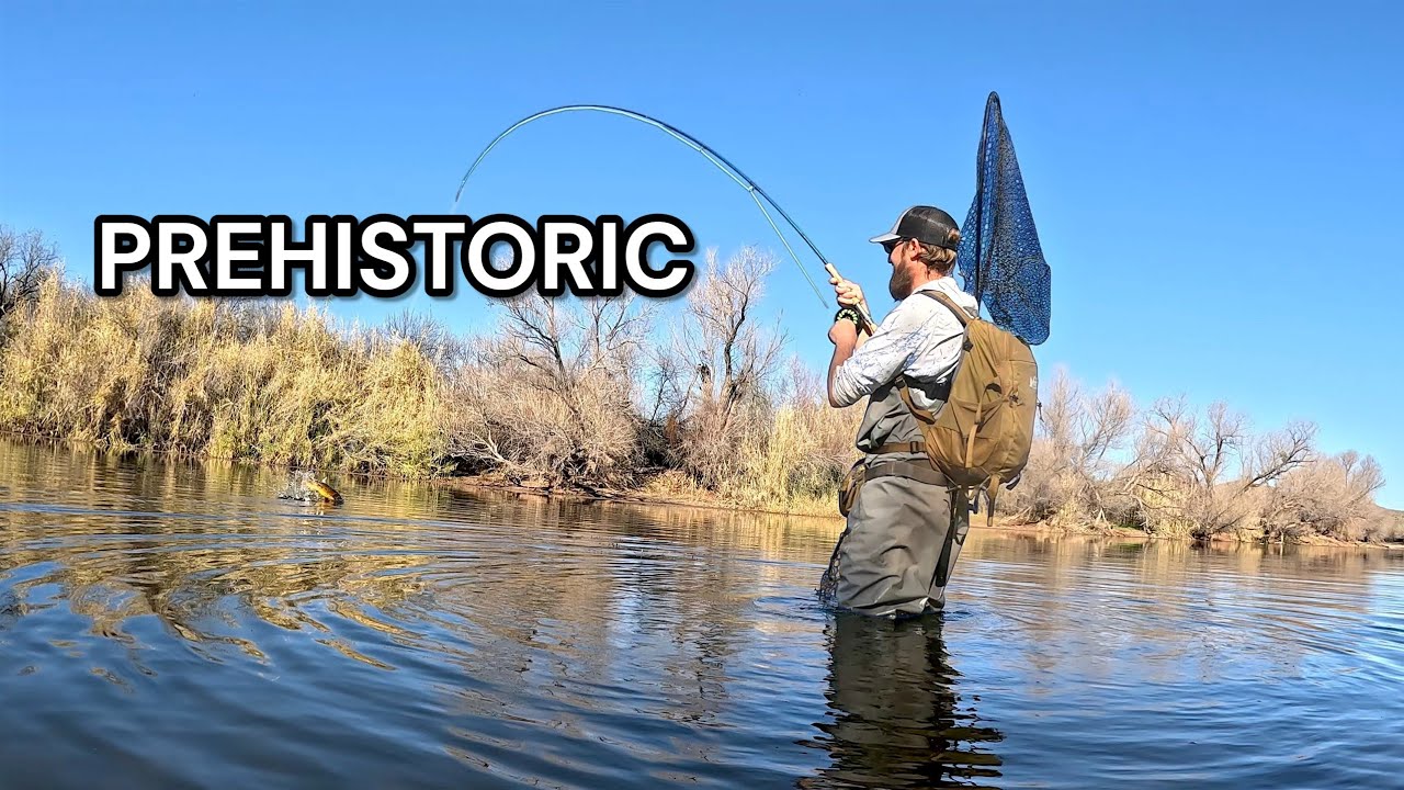 These ANCIENT Fish Wouldn’t Stop Biting
