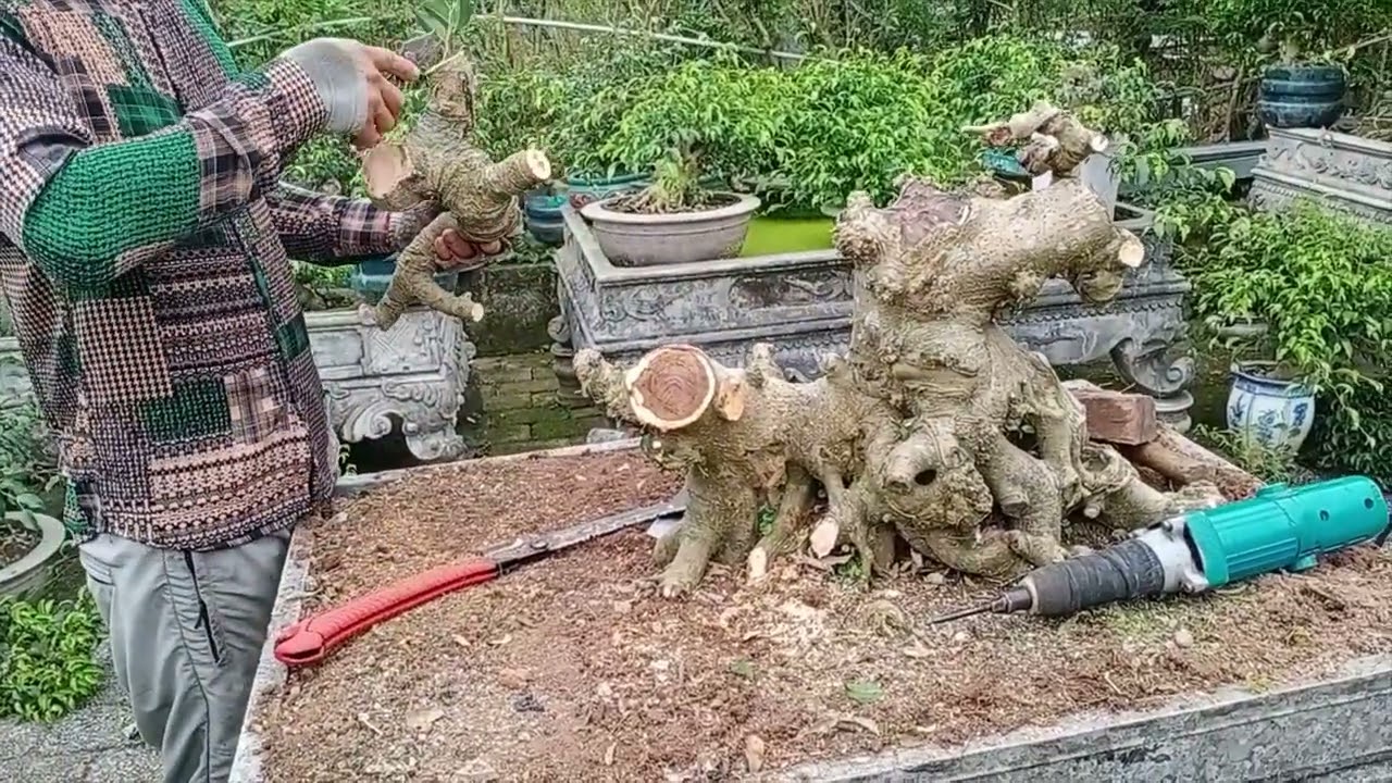 bác sĩ Thuận và những ca ghép ngoạn mục