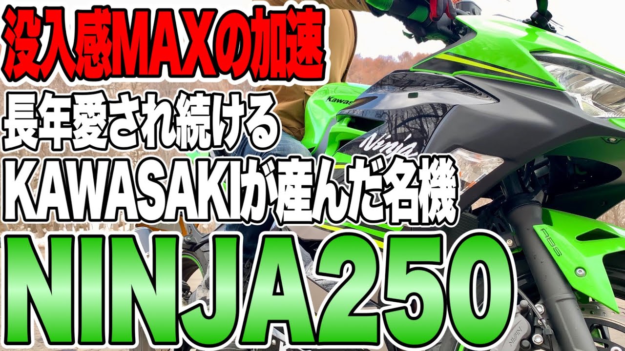【試乗】 Ninja250が長年売れ続ける理由はコレを見ればわかります