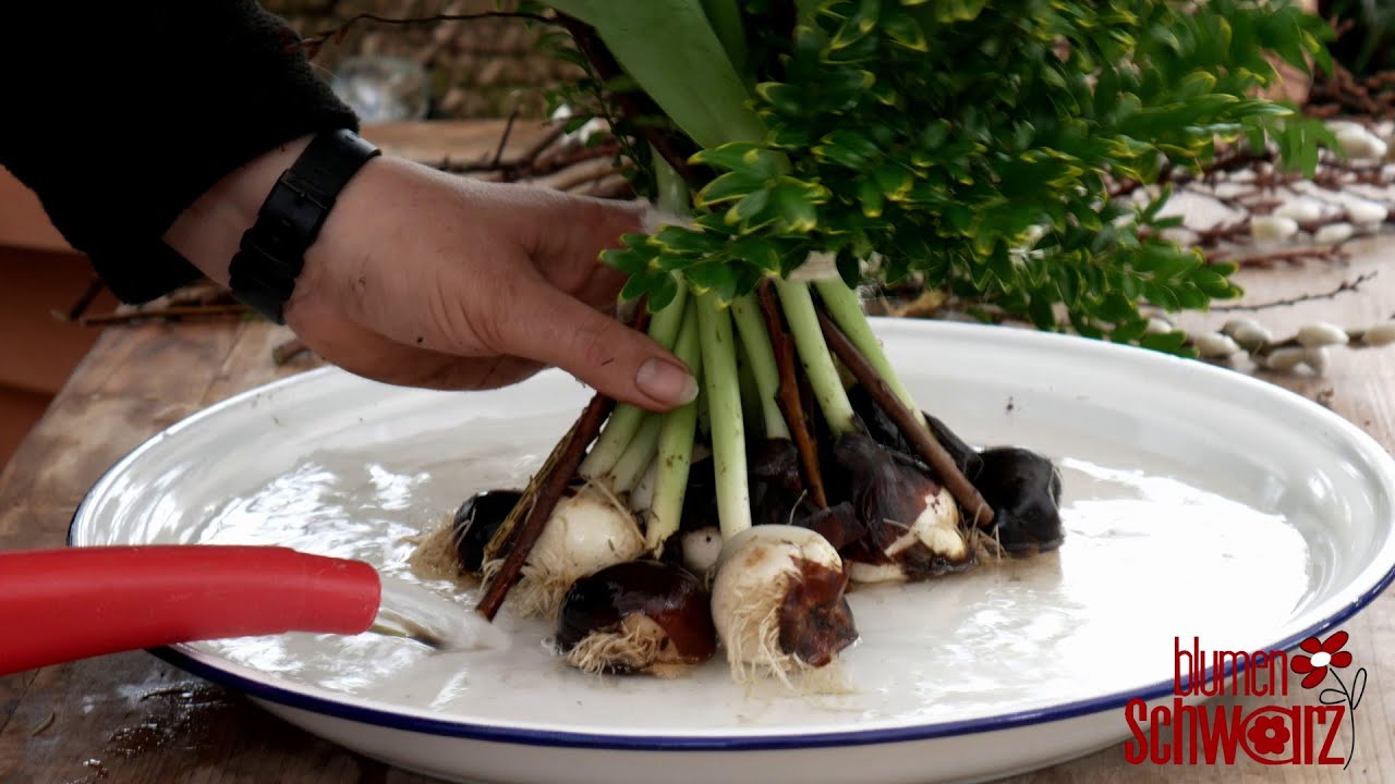 DIY: Floristikonlinekurs Tulpenstehstrauß | Floristik einfach selbstgemacht | Kurse für den Frühling
