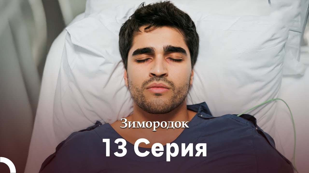Зимородок 13 Cерия (Русский дубляж)(Длинная Bерсия)
