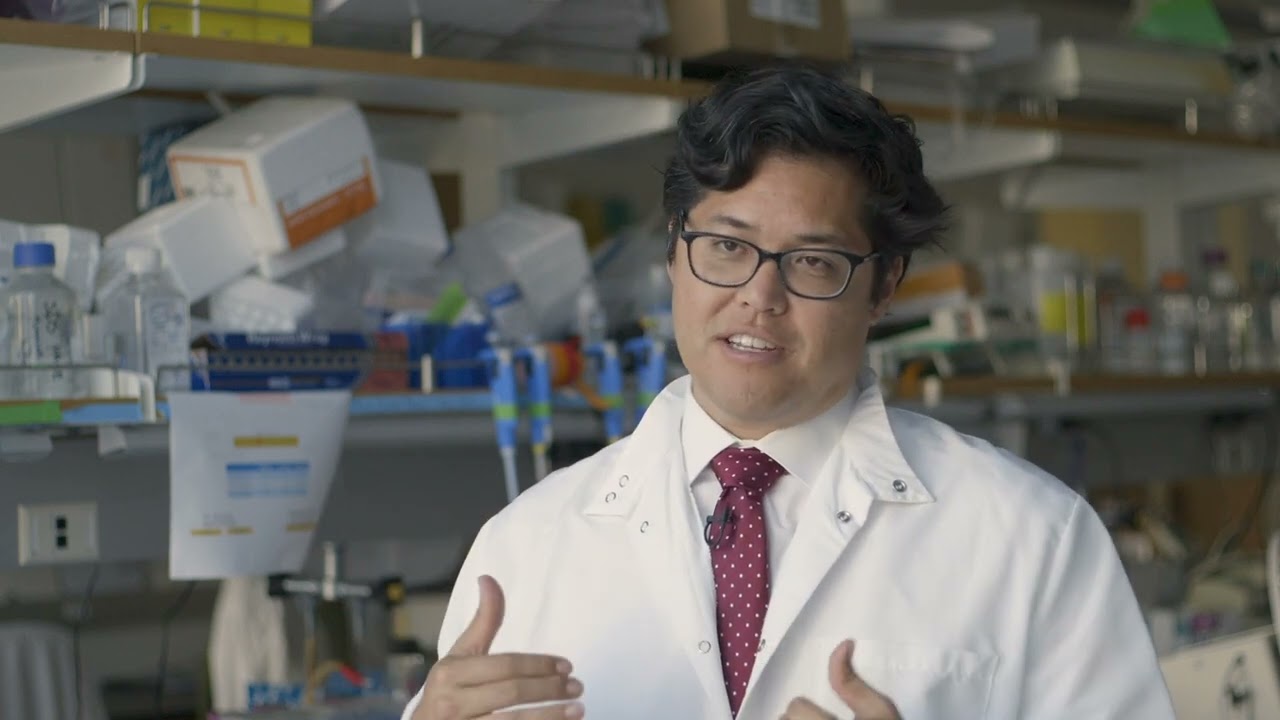 Disease modeling: ALS in the lab of USC Stem Cell scientist Justin Ichida