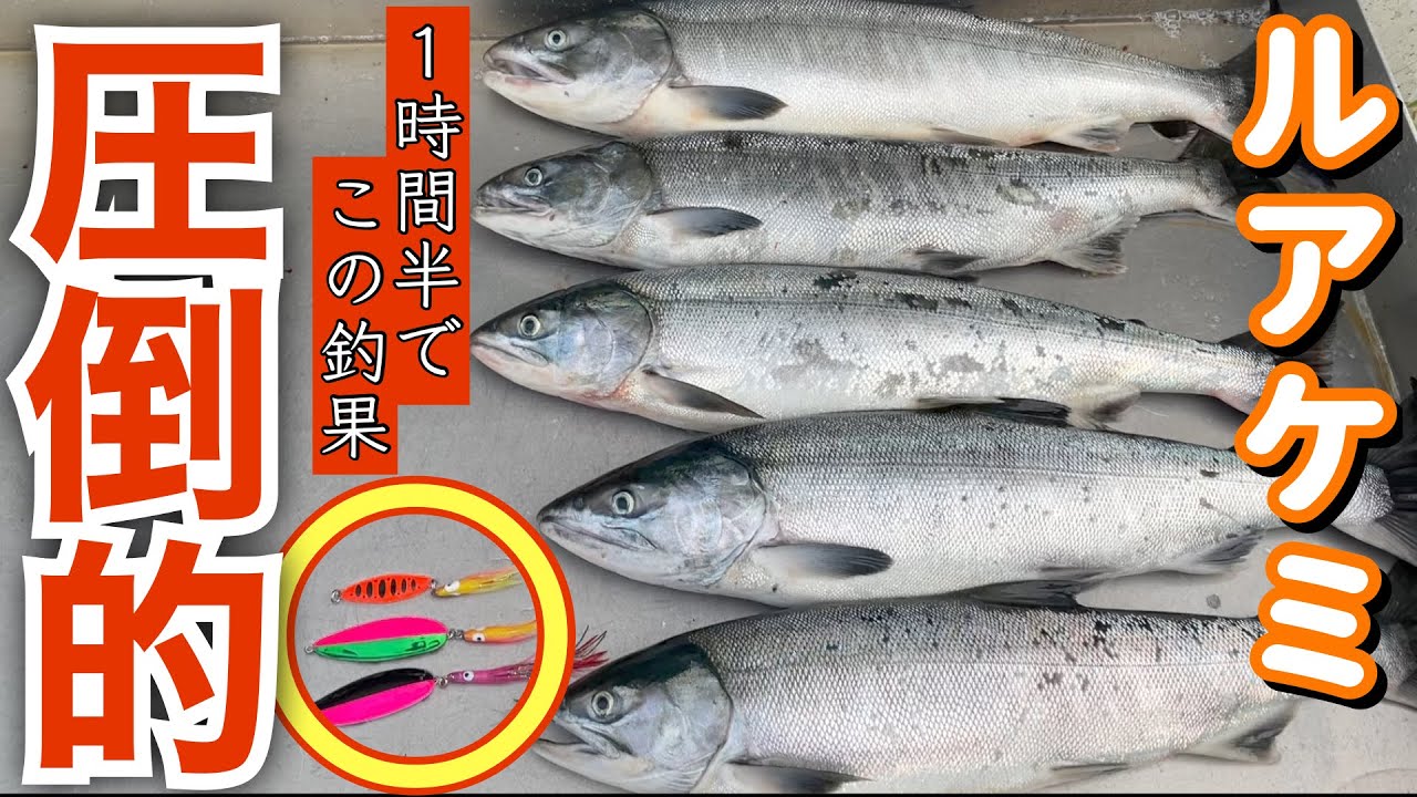 【入手困難】ハンドメイドの爆釣ルアーが存在した。｜ルアーズケミスト｜Salmon fishing｜