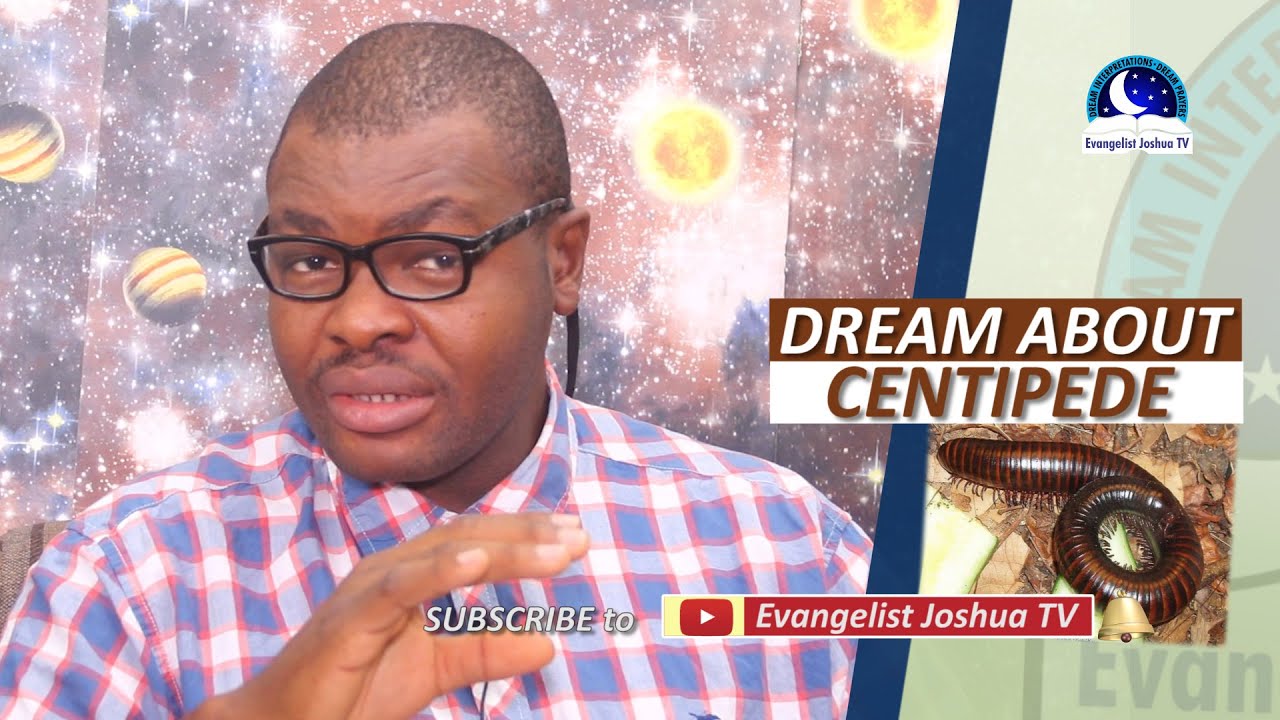 DREAM ABOUT CENTIPEDE  - Find Out The Biblical And Spiritual Meaning