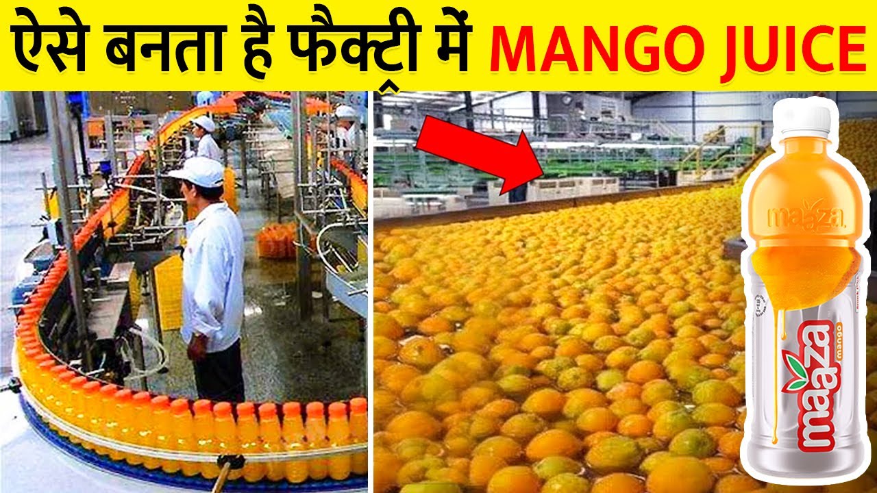 फैक्ट्री में MANGO Juice कैसे बनता है? How Mango juice is produced in a factory?