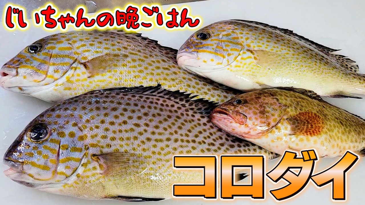 【爺ちゃんの晩御飯】味がふっくらしたコロダイ尽くしの定食で大満足！！
