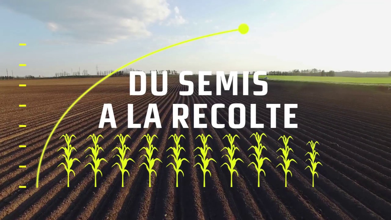 DEKALB SMART : optimiser vos semis de maïs et maximiser vos rendements