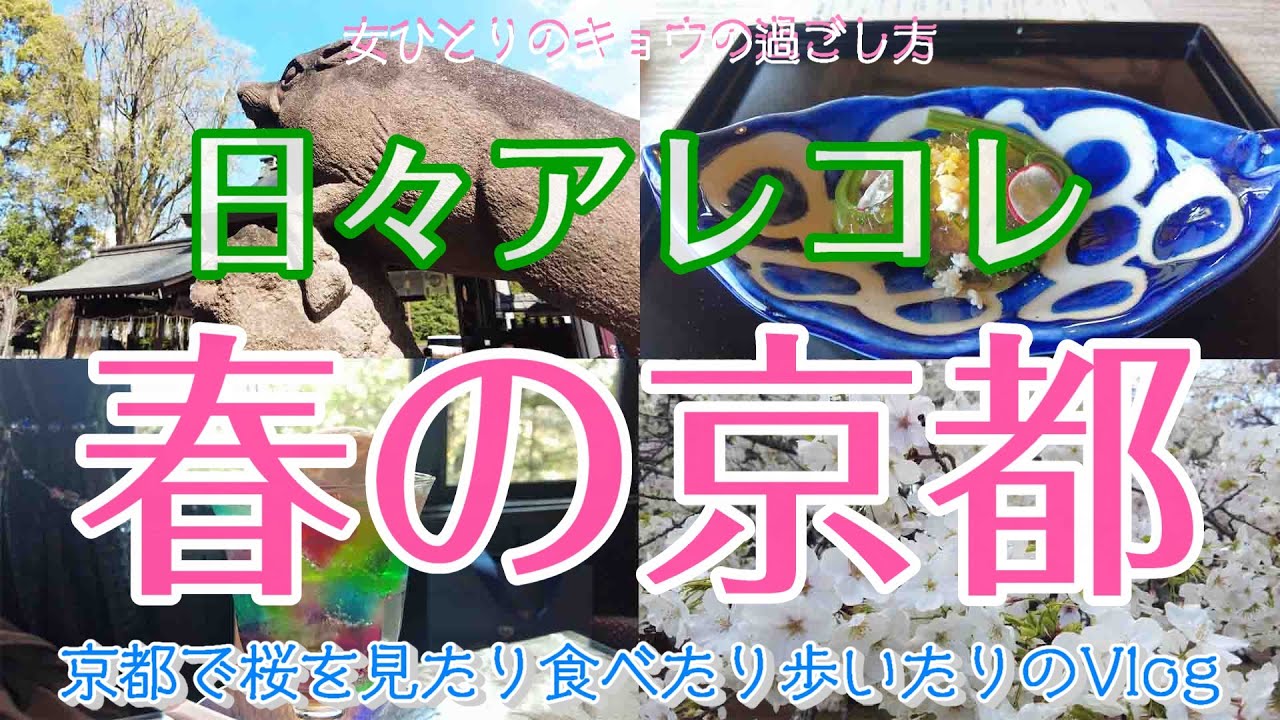 【春の京都編 日々アレコレ】京都で桜を見たり食べたり歩いたり/桜/京都市内散歩/あれこれランチ/桜咲く/お散歩/植物園/料亭| 京都で暮らす女の日常Vlog