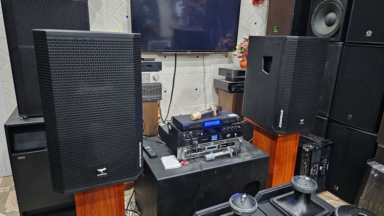 LOA B&Atilde;I(ĐỨC)SYRINCS FOCUS 133.(BAS 35)CHẤT.ĐỘC.ĐẸP XUẤT SẮC.CHI TIẾT C&Oacute; TRONG VIDEO.LH 0826252688