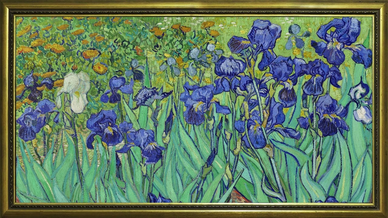 Van Gogh Irises Painting | Gold Frame TV Art | Screensaver for TV | Wallpaper