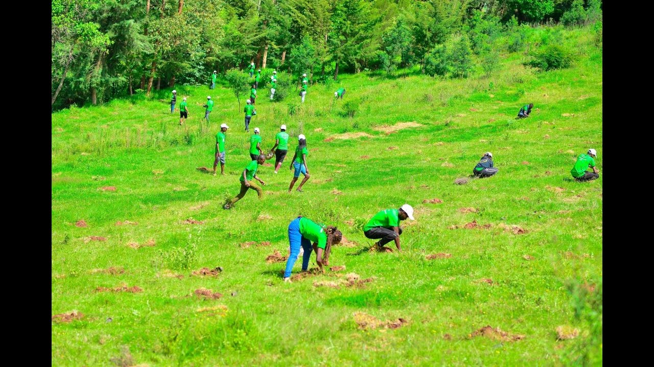 Planting 100,000 Trees in 5 Days | Historic Campaign by YGAK & German Imaging Technologies Ltd