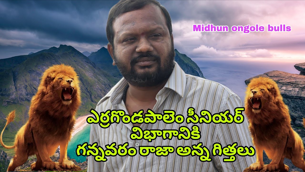 ఎర్రగొండపాలెం సీనియర్ విభాగానికి గన్నవరం రాజన్న గిత్తలు వచ్చినవి