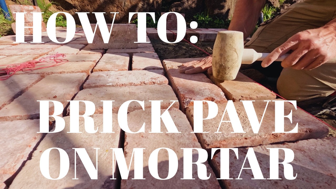 How to pave a brick path on mortar - Easy step by step guide.