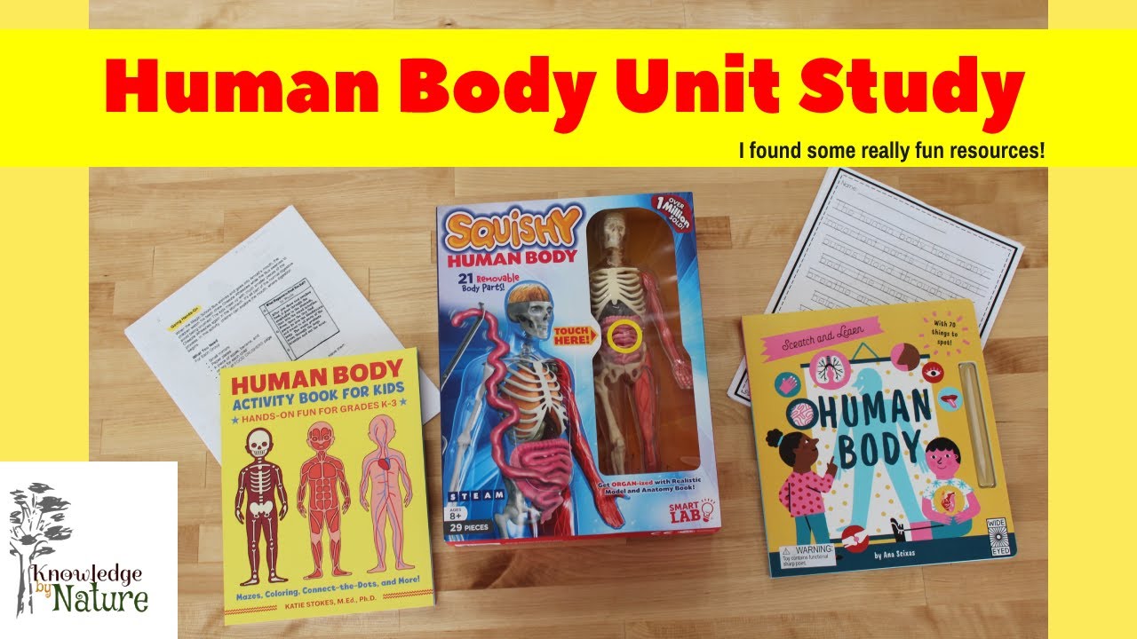 HUMAN BODY UNIT STUDY || HOMESCHOOL UNIT STUDY || FIRST GRADE HUMAN BODY STUDY