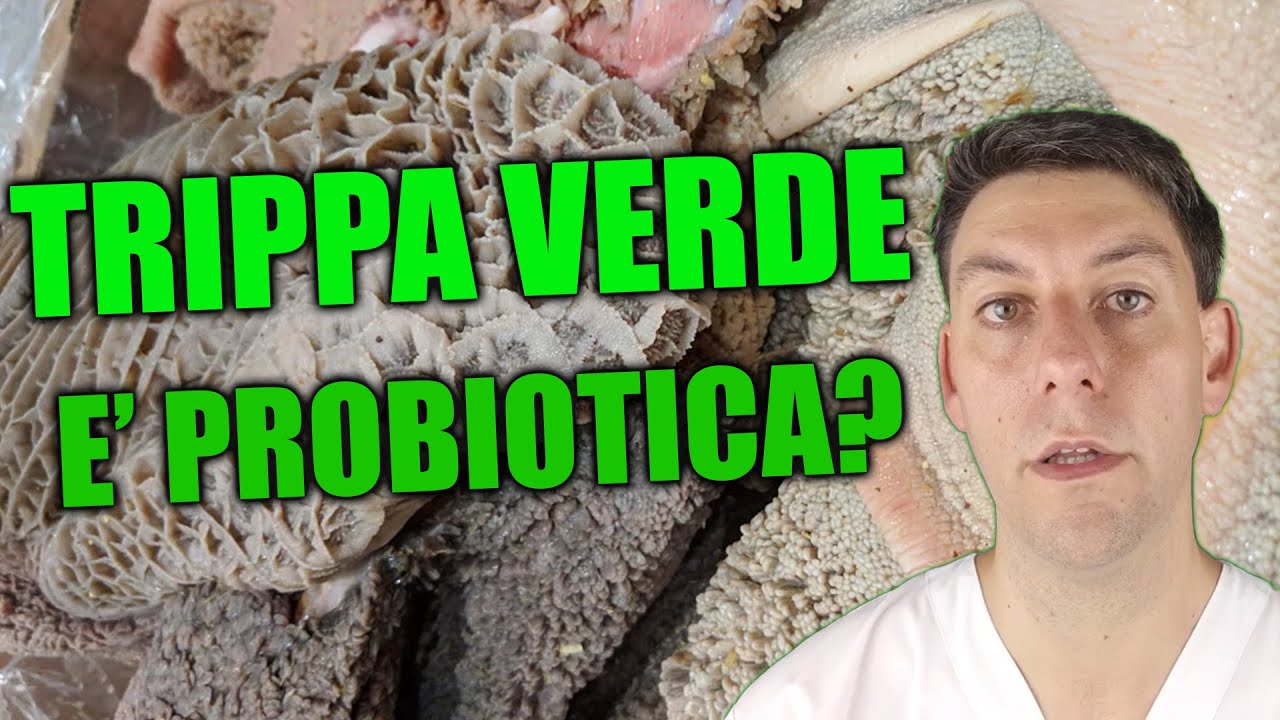 La TRIPPA VERDE è INDISPENSABILE nell'alimentazione a crudo del cane e del gatto?