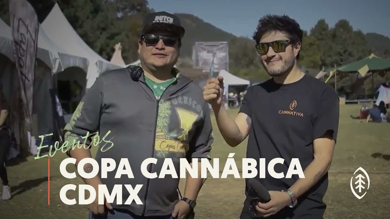 &iexcl;AS&Iacute; SE PUSO LA COPA CANN&Aacute;BICA M&Eacute;XICO 2020! (CON JOS&Eacute; LU&Iacute;S MART&Iacute;NEZ 