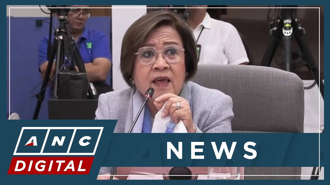 De Lima: 'Ang pagwaldas sa confidential funds ay malaking kasalanan sa taongbayan' | ANC