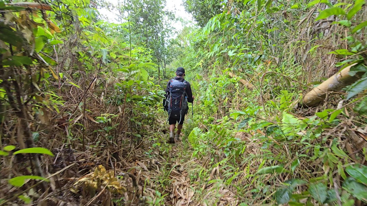 INI GILA, HAMPIR TERSESAT DI TENGAH HUTAN SETELAH MENGUNJUNGI SATU KEKUARGA YG HIDUP DI HUTAN...