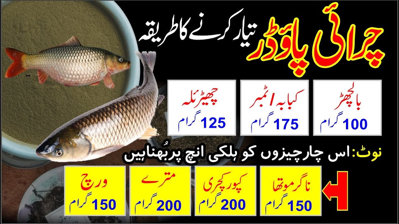 How to make Charai powder |Grazing powder herbal |Charai Formula |Village Fish Catching