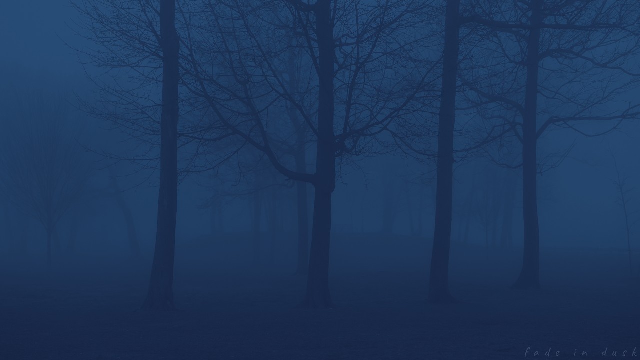 a loneliness i can’t explain