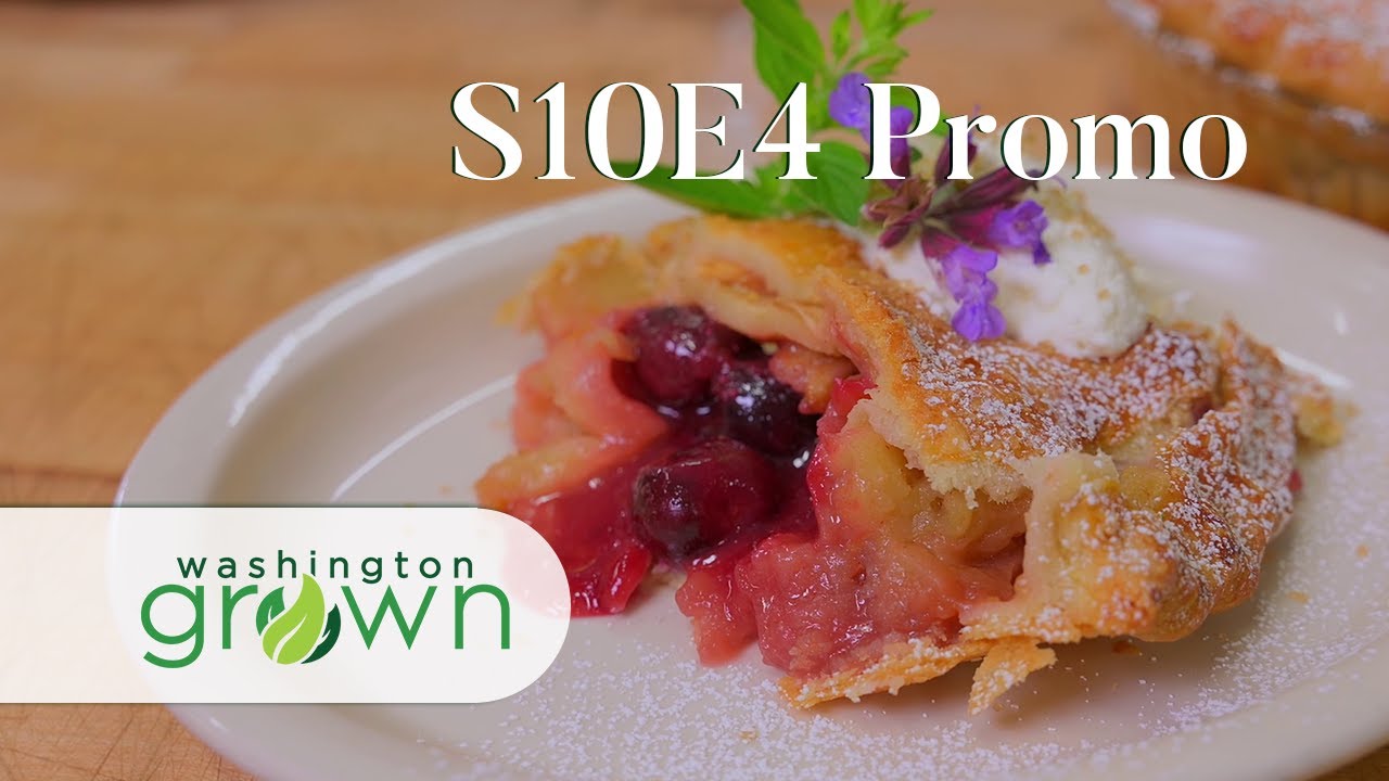 U-Pick Berries | Promo | Washington Grown