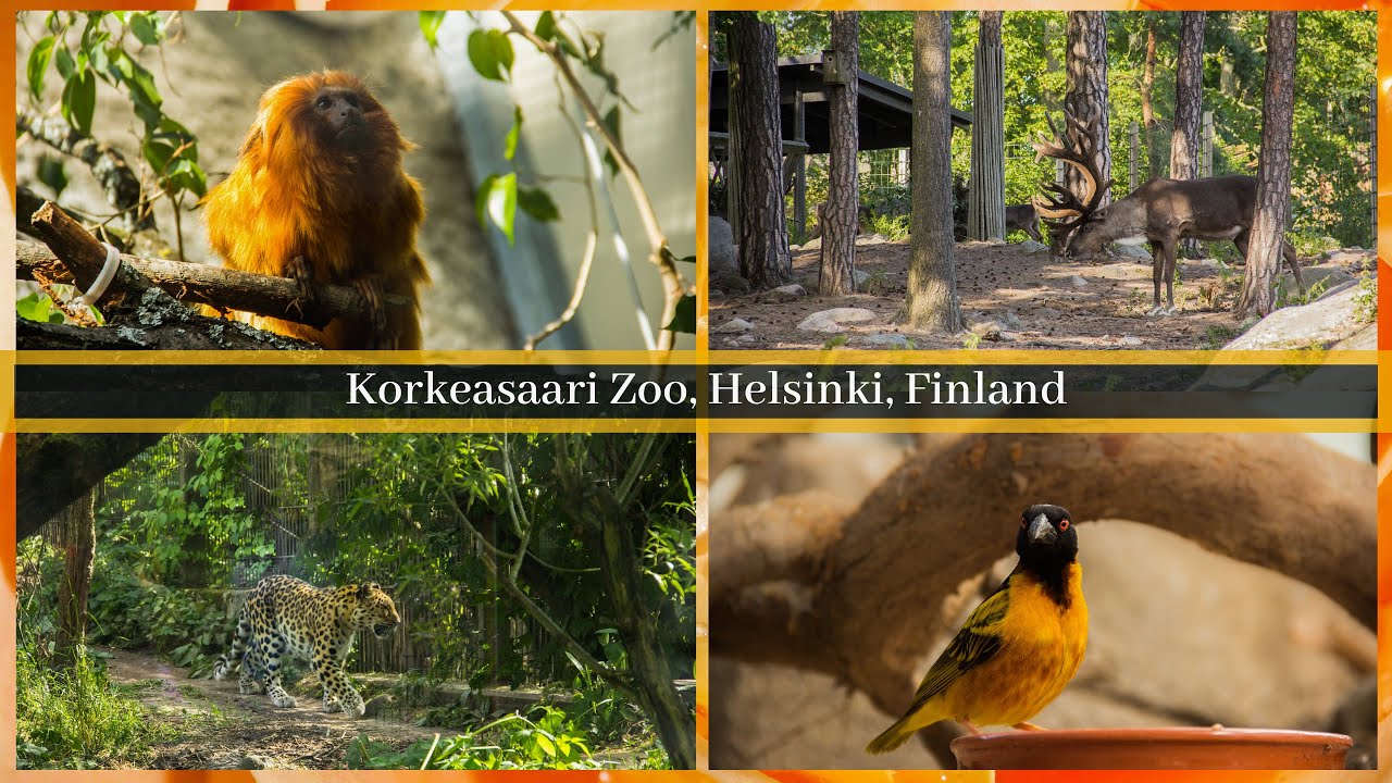 A Day in Helsinki Zoo | Korkeasaari | Helsingin El&auml;intarha | Finland