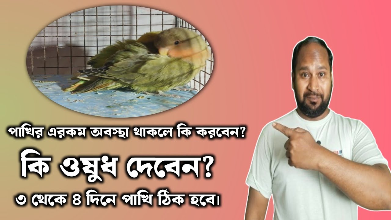 "Seasonal Changes & Exotic Birds: Common Diseases & Life-Saving Treatments!"
