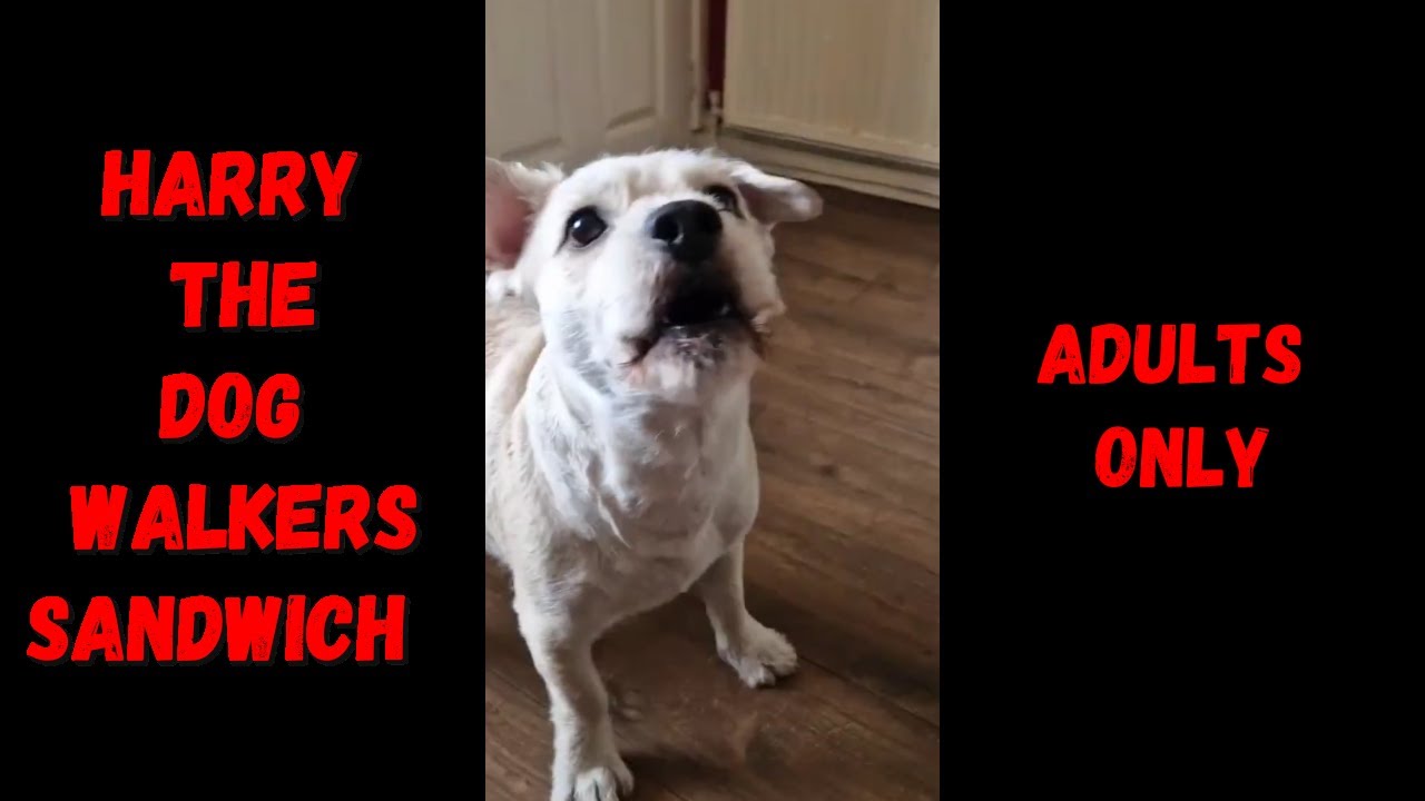 Sandwiches, Lies and Video Tape. You won't believe your ears!