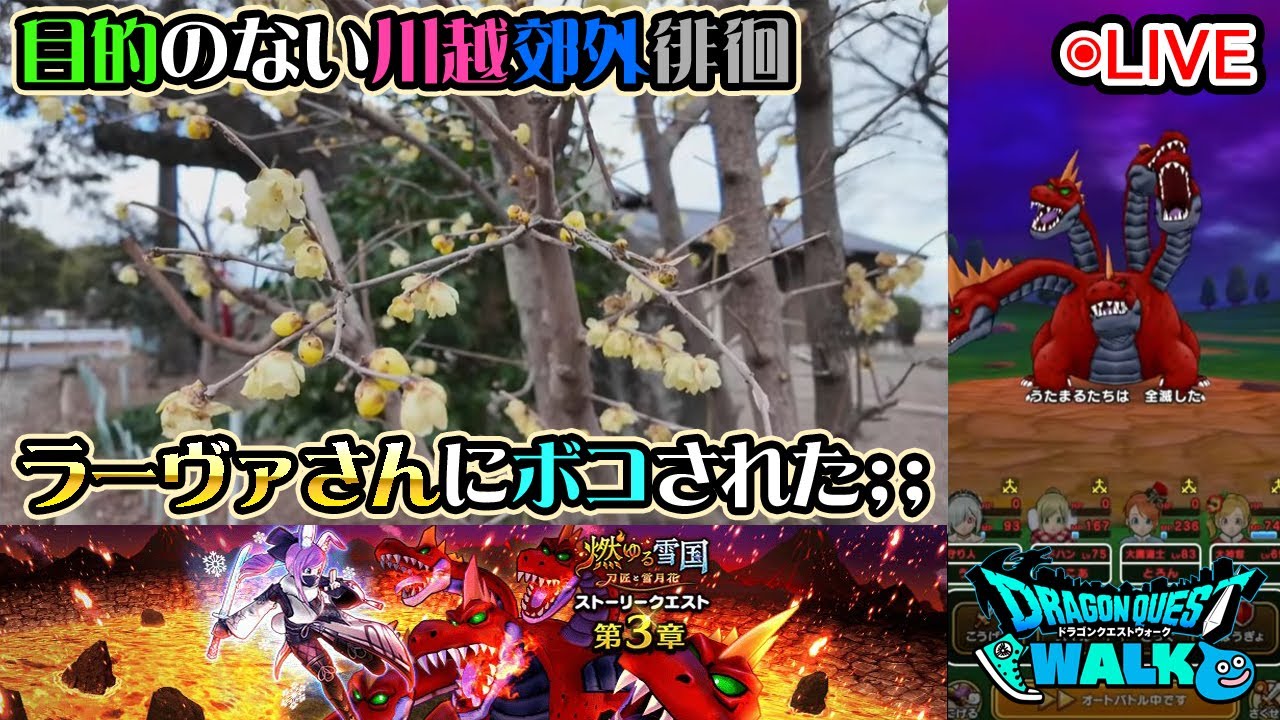 【ドラクエウォークLive】川越街外徘徊と燃ゆる雪国～刀匠と雪月花～ 第３章と新メガモン「ラーヴァドラゴン」【ツイキャス、ニコ生同時配信】