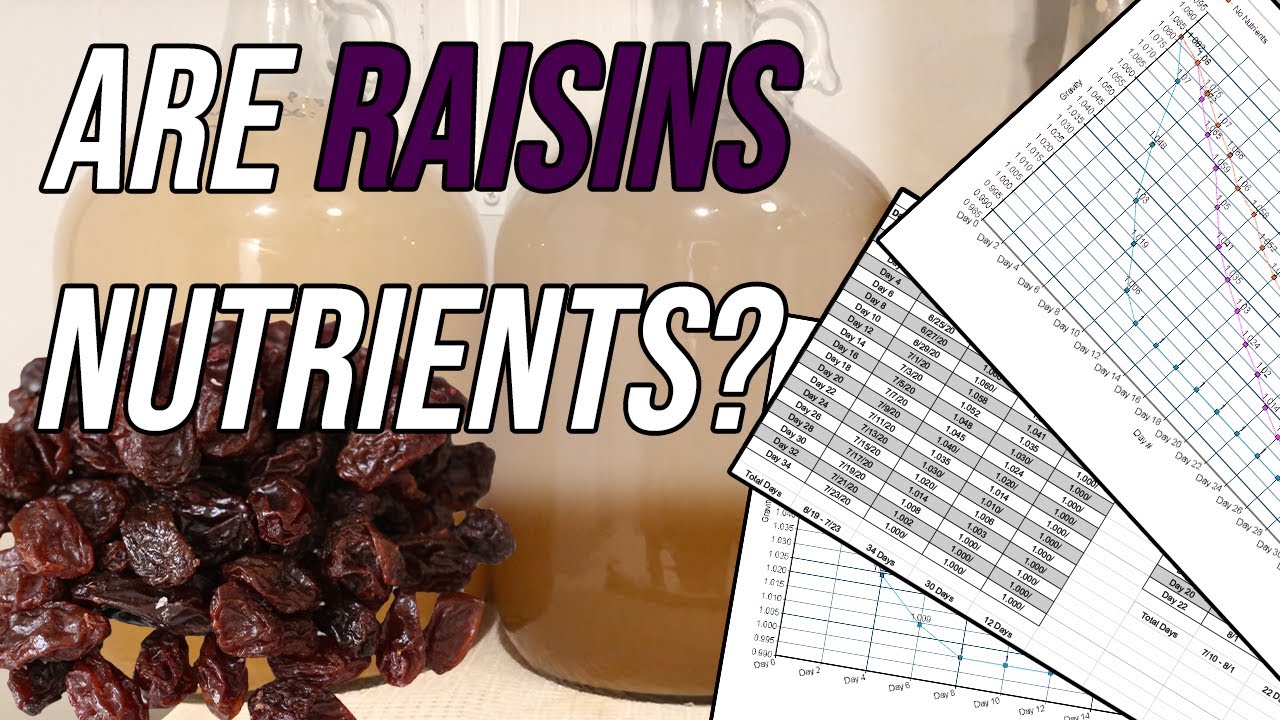 Are Raisins Nutrients? Scientific Test with Charts & Taste Test