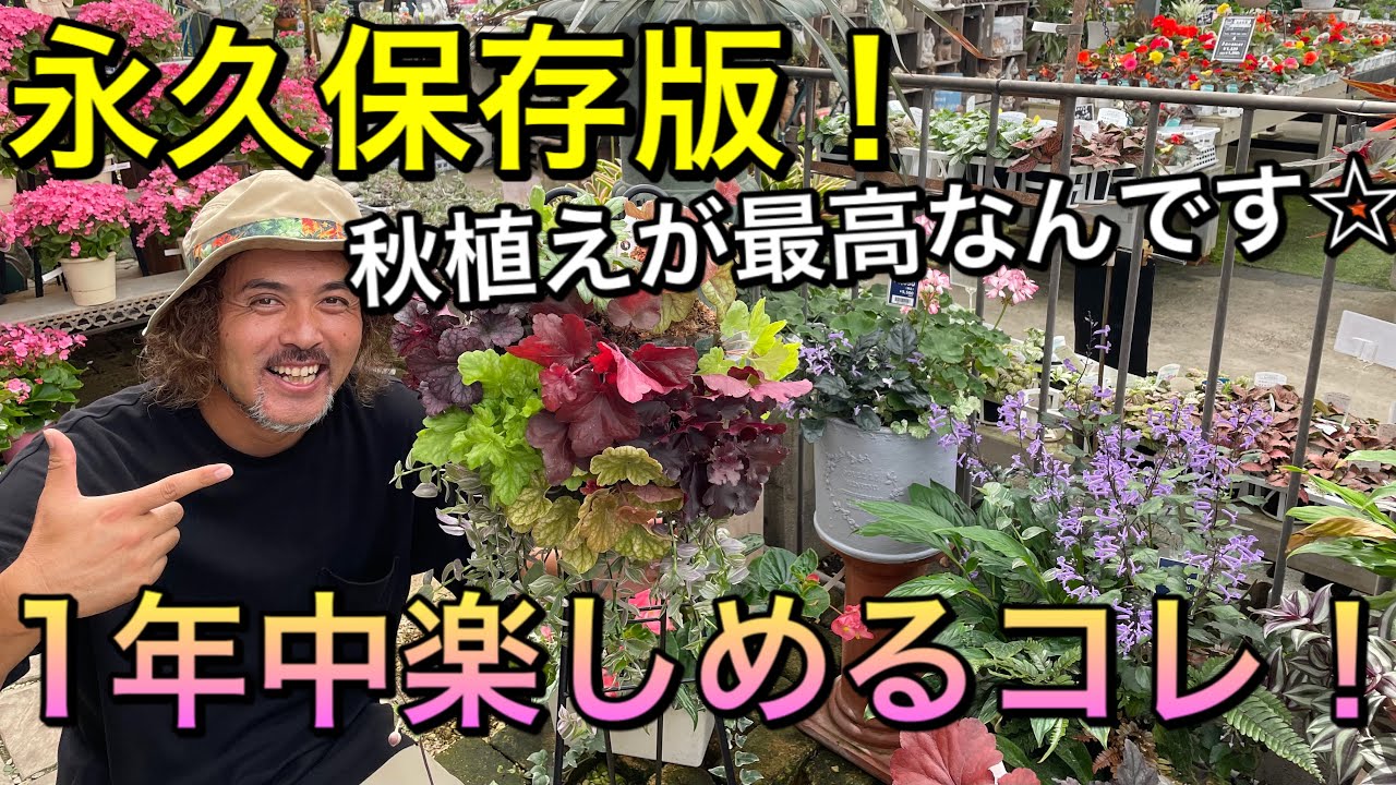 永久保存版！秋植えヒューケラは、パフォーマンス最高☆１年中楽しめるヒューケラを使ったハンギングバスケット作り♪