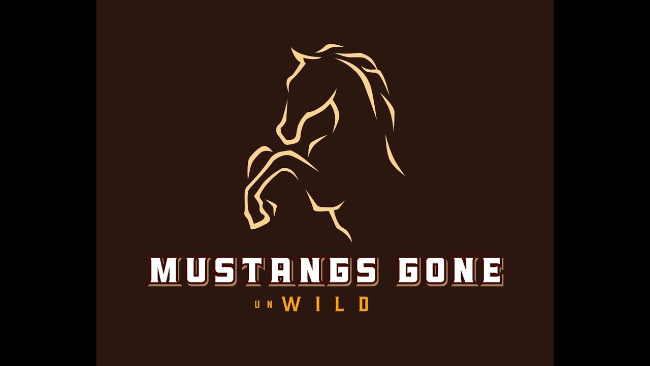 The Mustang Diaries: Oakley Groundwork - Update 3 - Session 20ish