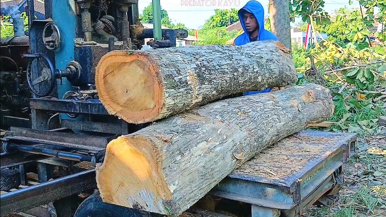 Penggergajian kayu jati‼️Gergaji Mesin Bandsaw Rakitan